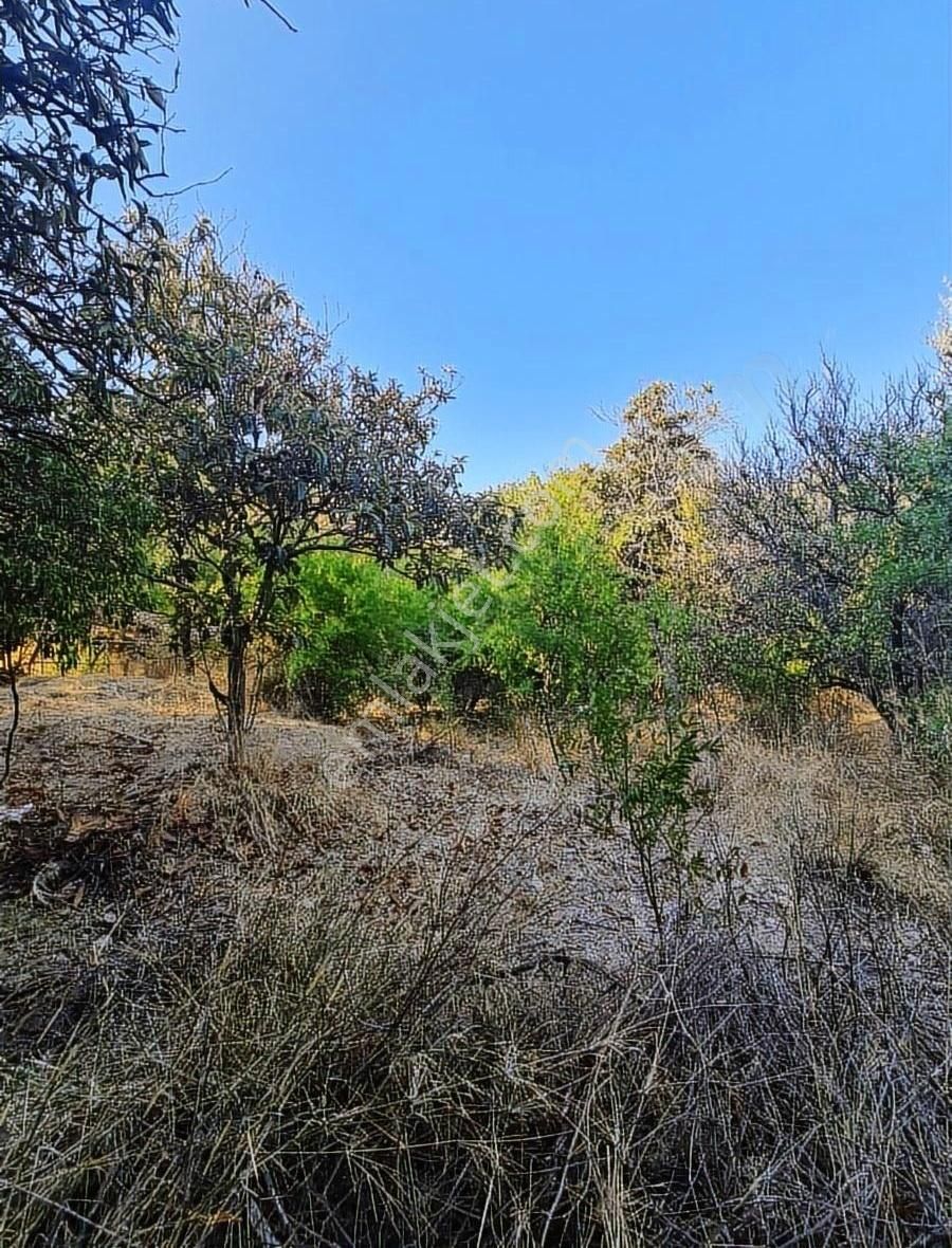 Yakacik Mh. 486 M2 Satılık Arsa. - Görsel 17
