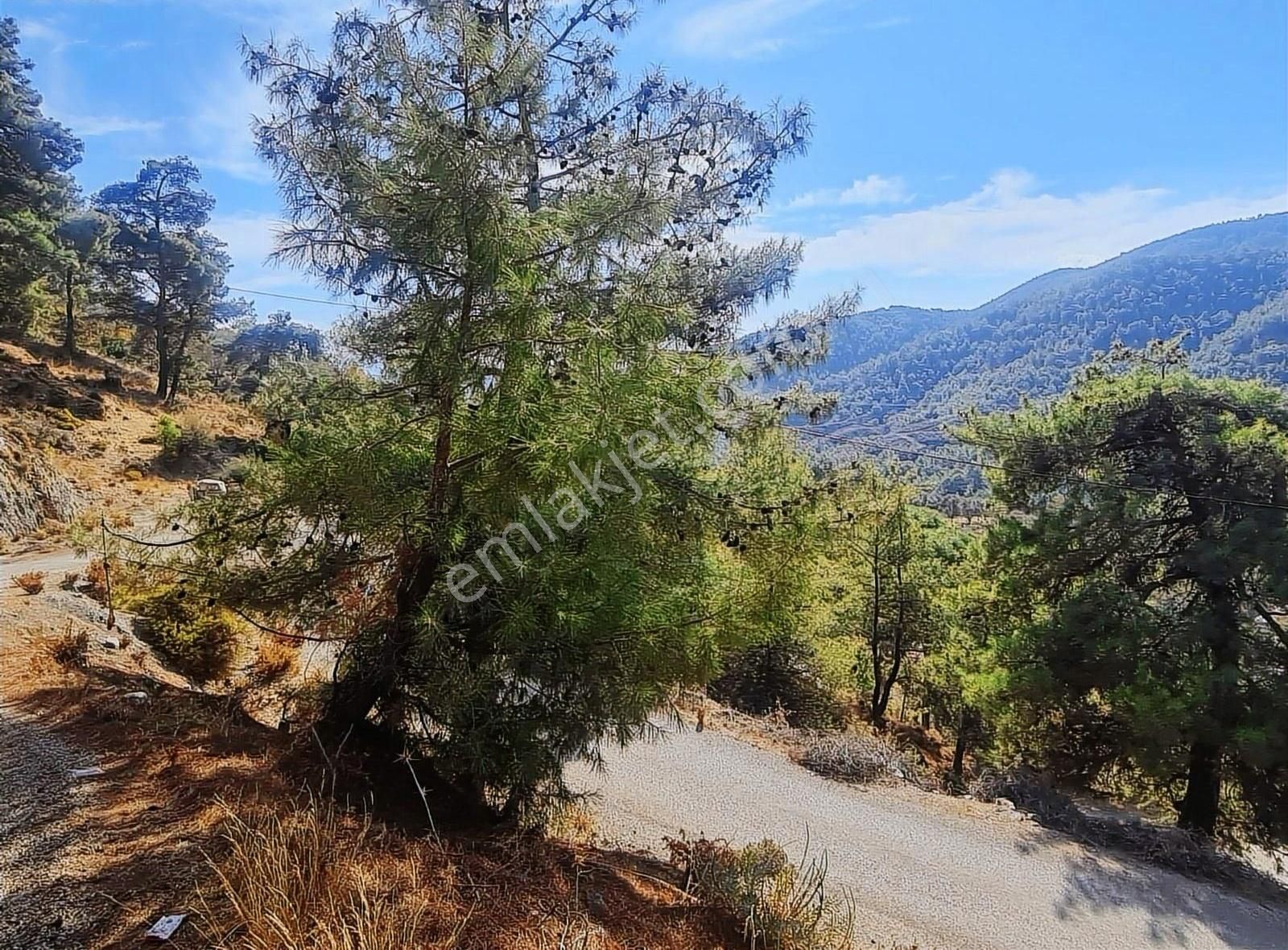 Yakacik Mh. 486 M2 Satılık Arsa. - Görsel 13