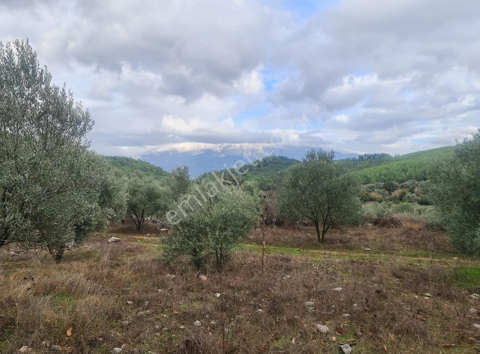 Gokben Mh. 834 M2 Satılık Tarla.
