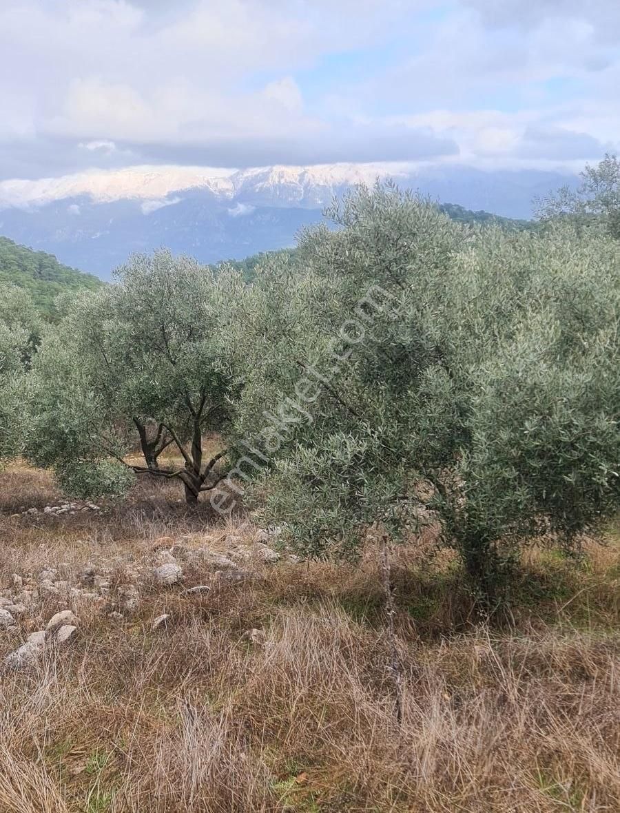 Gokben Mh. 834 M2 Satılık Tarla. - Görsel 13
