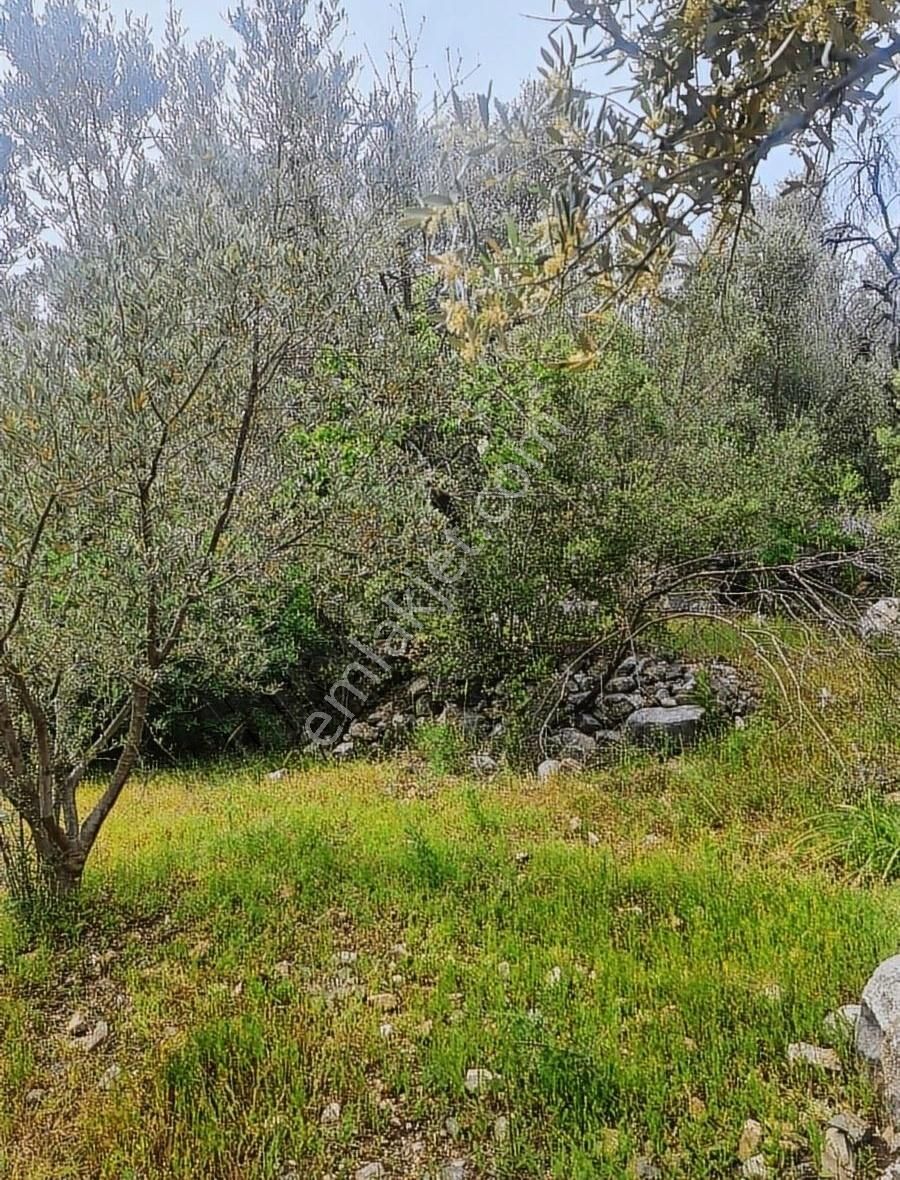 Yakacik Mh.669 M2 İmarlı Satılık Tarla - Görsel 5