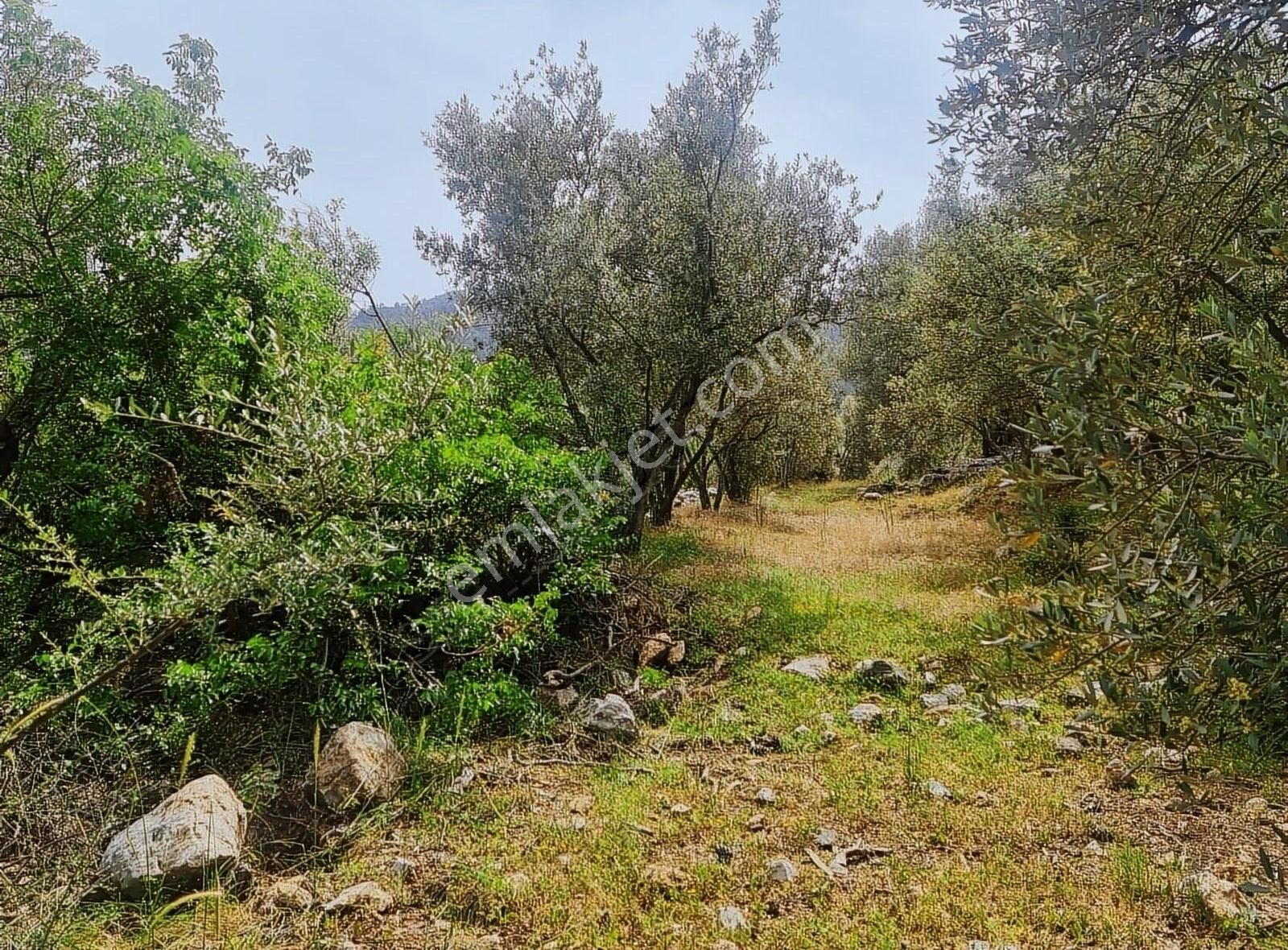 Yakacik Mh.669 M2 İmarlı Satılık Tarla - Görsel 21