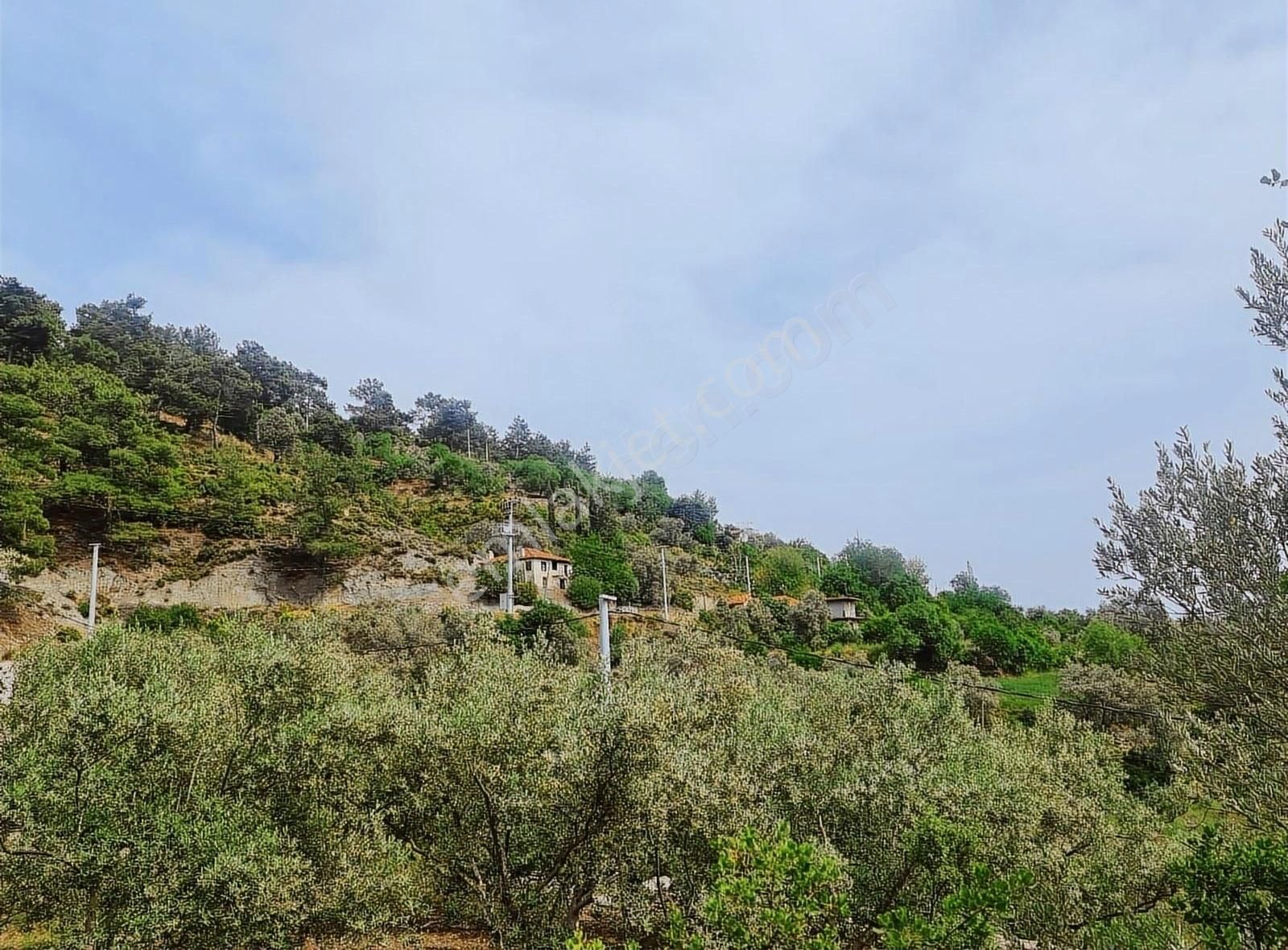 Yakacik Mh.669 M2 İmarlı Satılık Tarla - Görsel 31