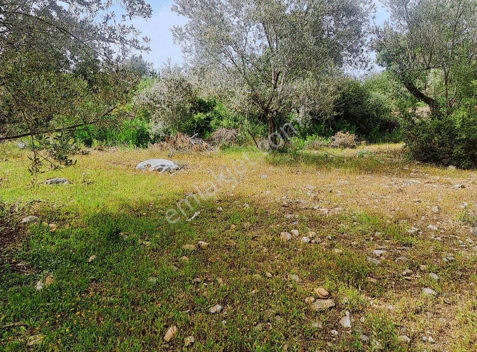Yakacik Mh.669 M2 İmarlı Satılık Tarla - Görsel 20