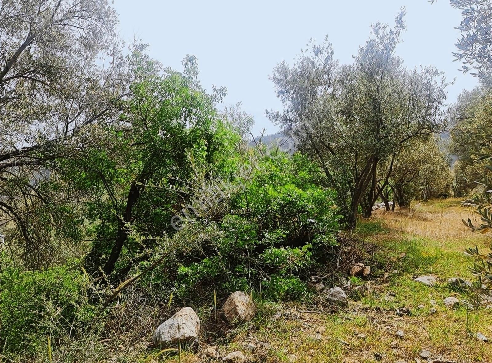 Yakacik Mh.669 M2 İmarlı Satılık Tarla - Görsel 33