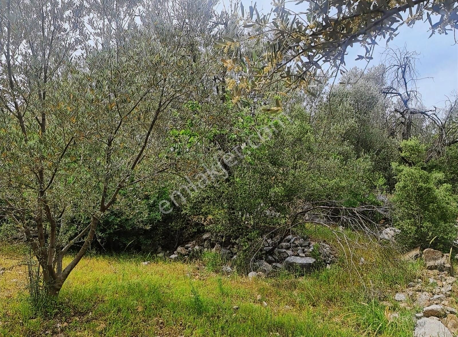 Yakacik Mh.669 M2 İmarlı Satılık Tarla - Görsel 26