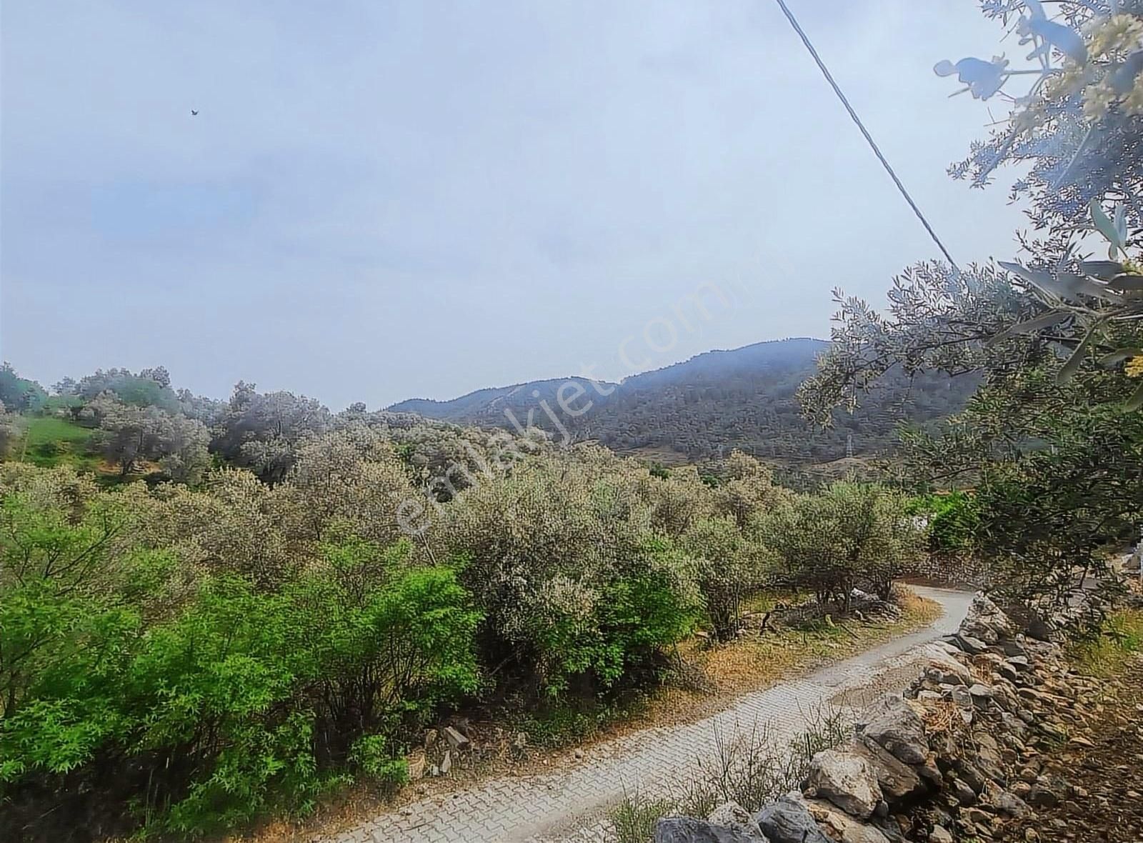 Yakacik Mh.669 M2 İmarlı Satılık Tarla - Görsel 32