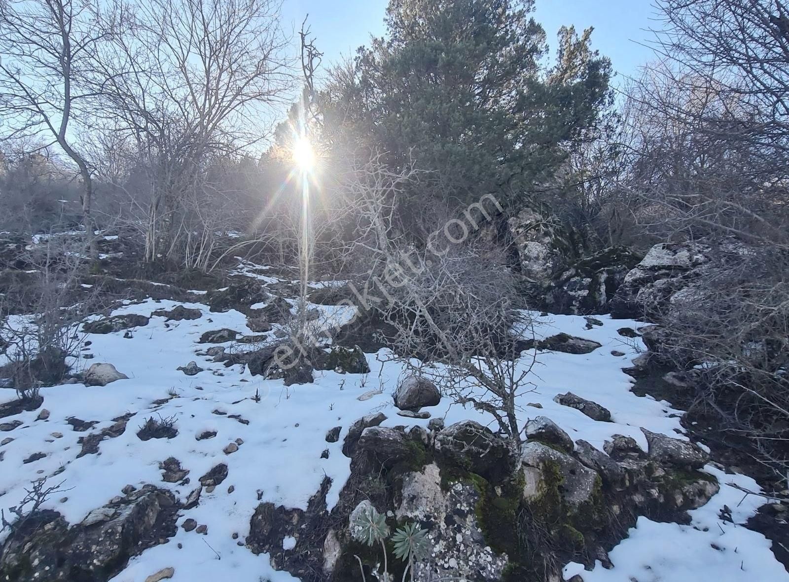 Bayir Mh.16380 M2 Satılık Tarla. - Görsel 19