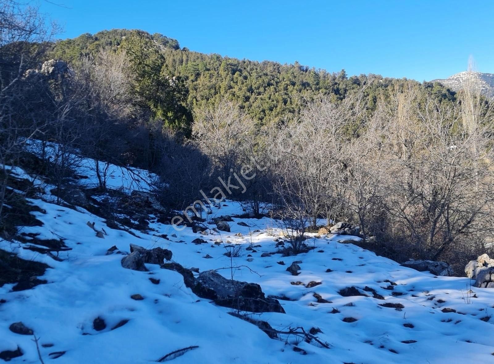 Bayir Mh.16380 M2 Satılık Tarla. - Görsel 8