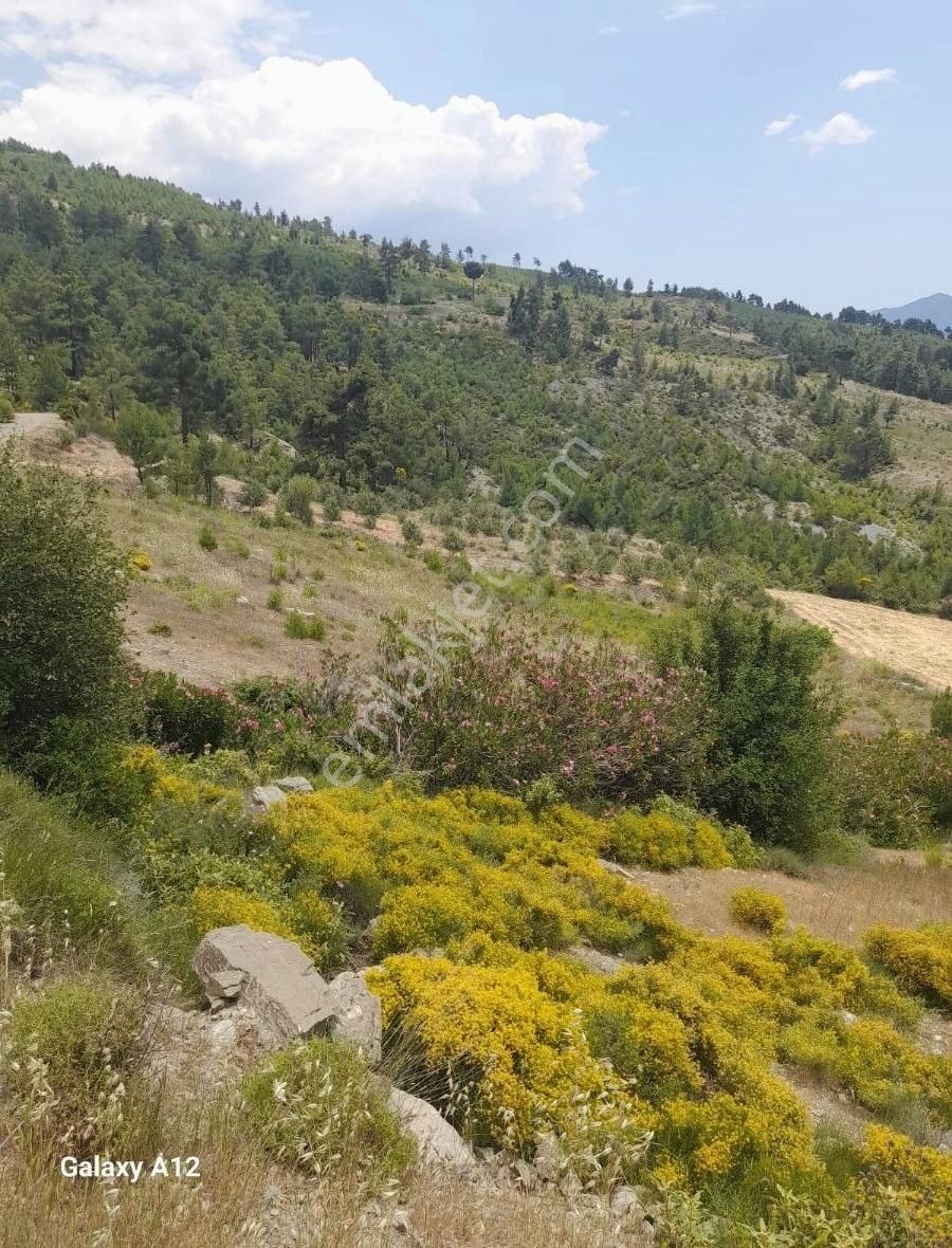 Arsa Mah.3760 M2 Satılık 2b Arazisi. - Görsel 2