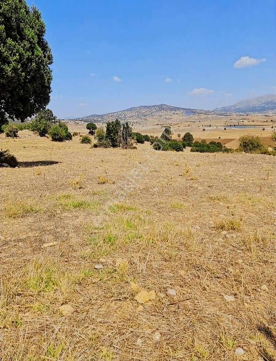 Yayla Zorlar Mh.36400 M2 Satılık Tarla - Görsel 8
