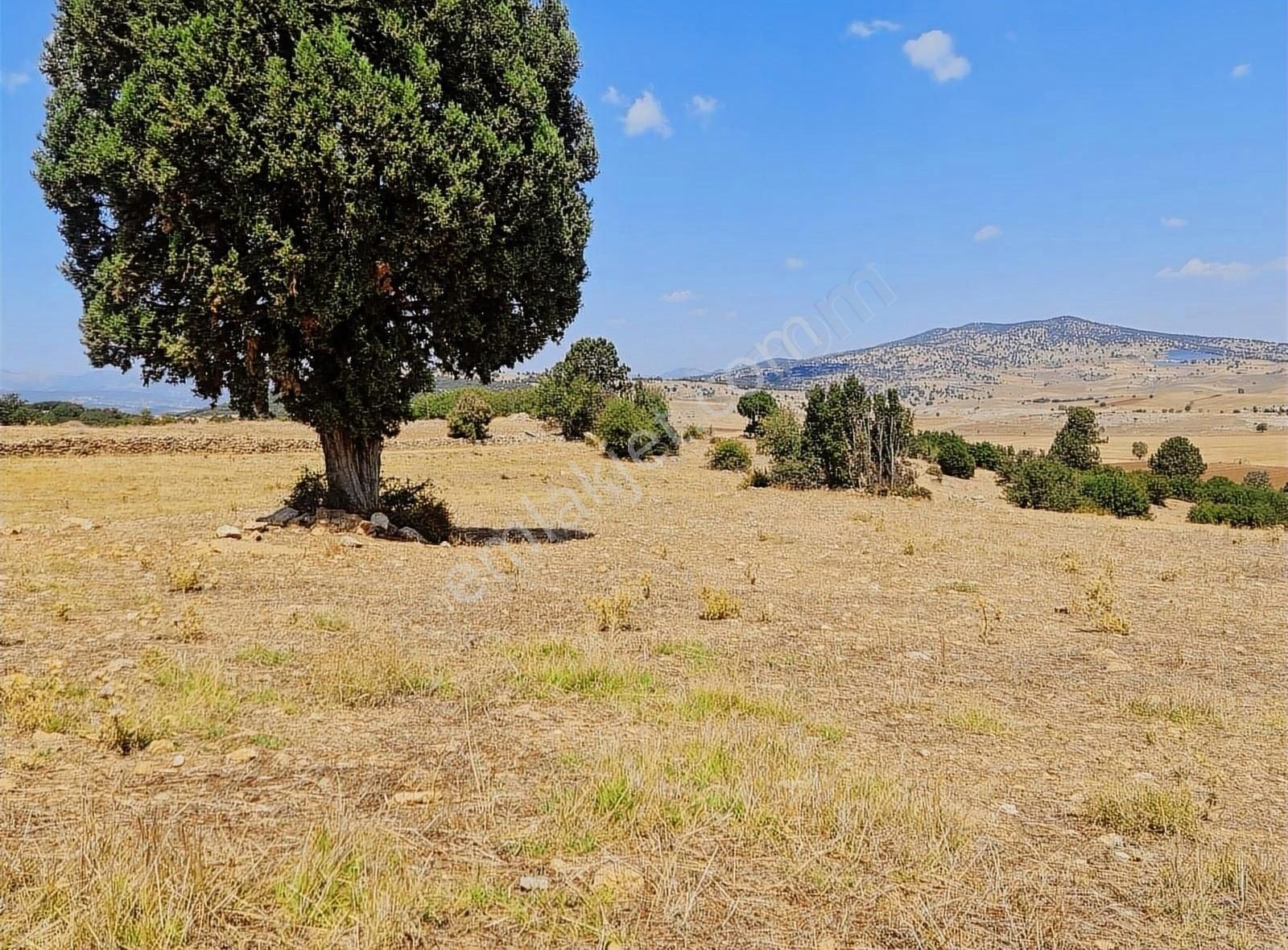 Yayla Zorlar Mh.36400 M2 Satılık Tarla - Görsel 2