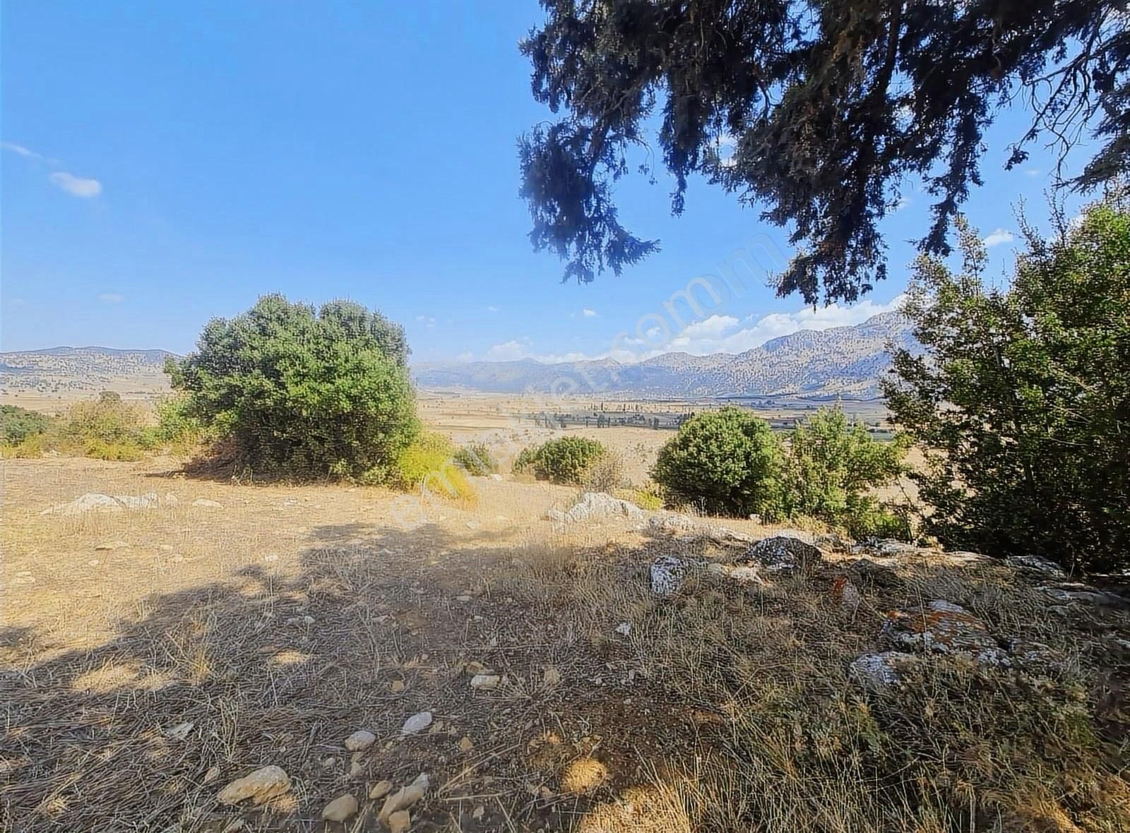 Yayla Zorlar Mh.36400 M2 Satılık Tarla - Görsel 10