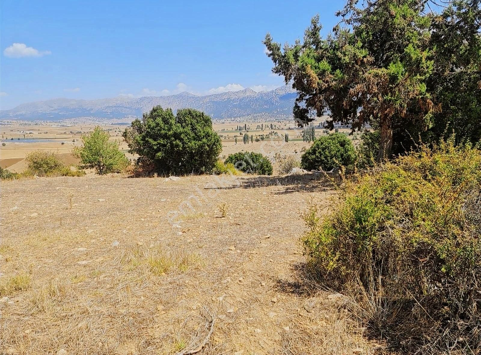 Yayla Zorlar Mh.36400 M2 Satılık Tarla - Görsel 18