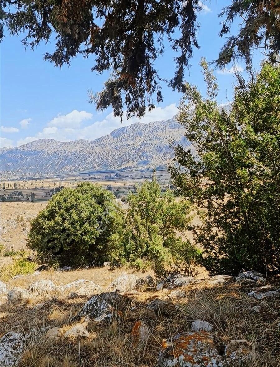 Yayla Zorlar Mh.36400 M2 Satılık Tarla - Görsel 4