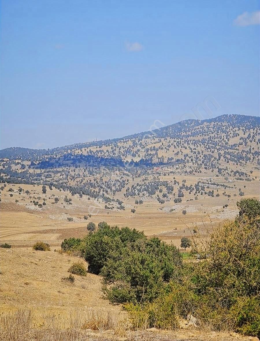 Yayla Zorlar Mh.36400 M2 Satılık Tarla - Görsel 21
