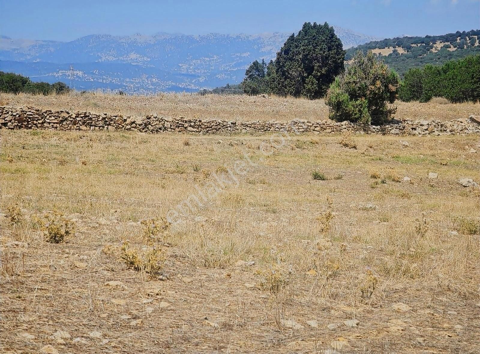 Yayla Zorlar Mh.36400 M2 Satılık Tarla - Görsel 33