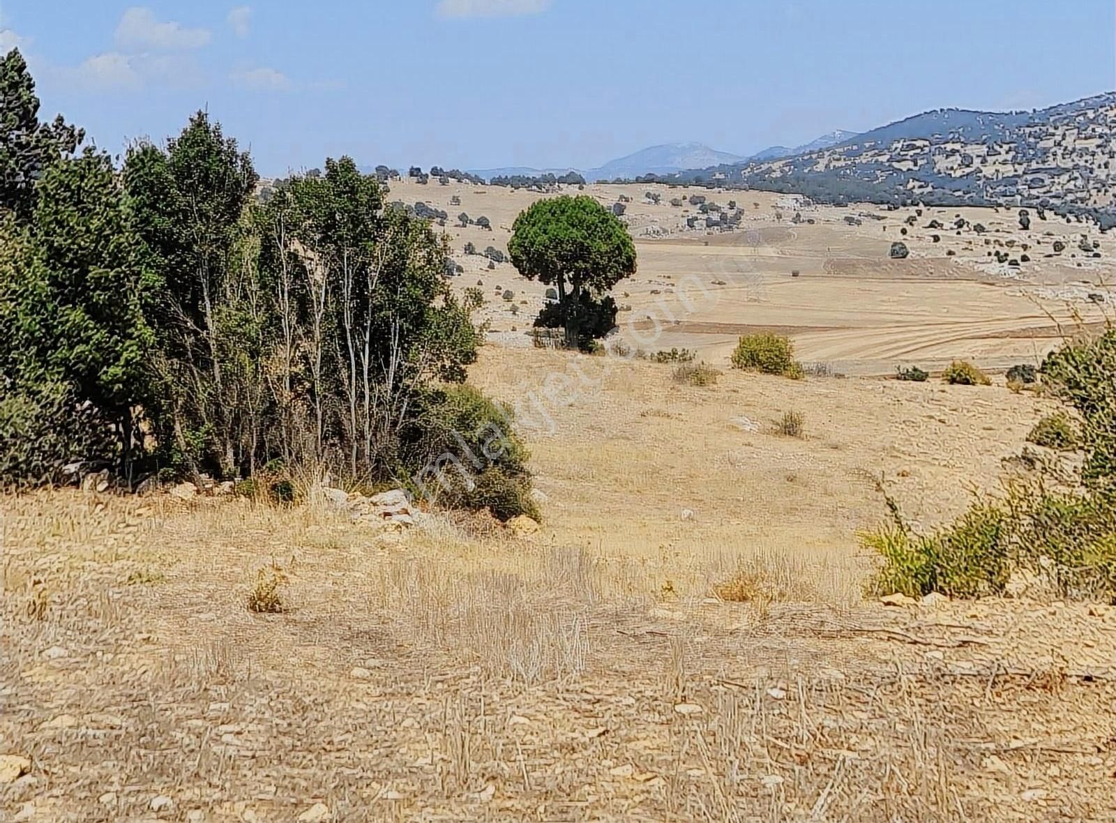 Yayla Zorlar Mh.36400 M2 Satılık Tarla - Görsel 7