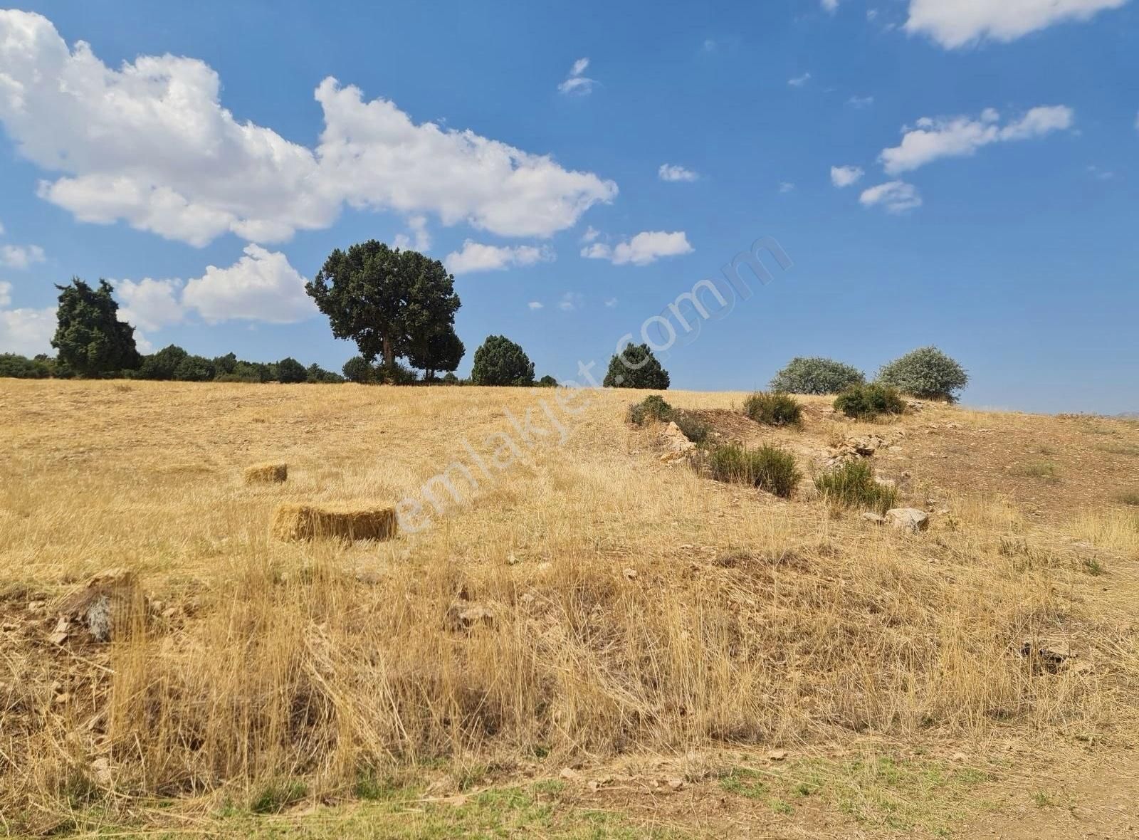 Yayla Zorlar Mh.36400 M2 Satılık Tarla - Görsel 16