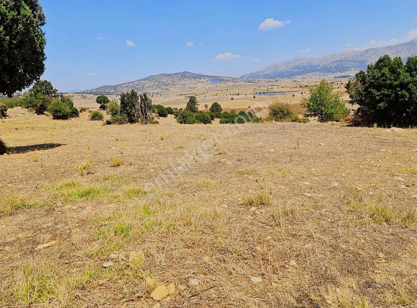 Yayla Zorlar Mh.36400 M2 Satılık Tarla - Görsel 11