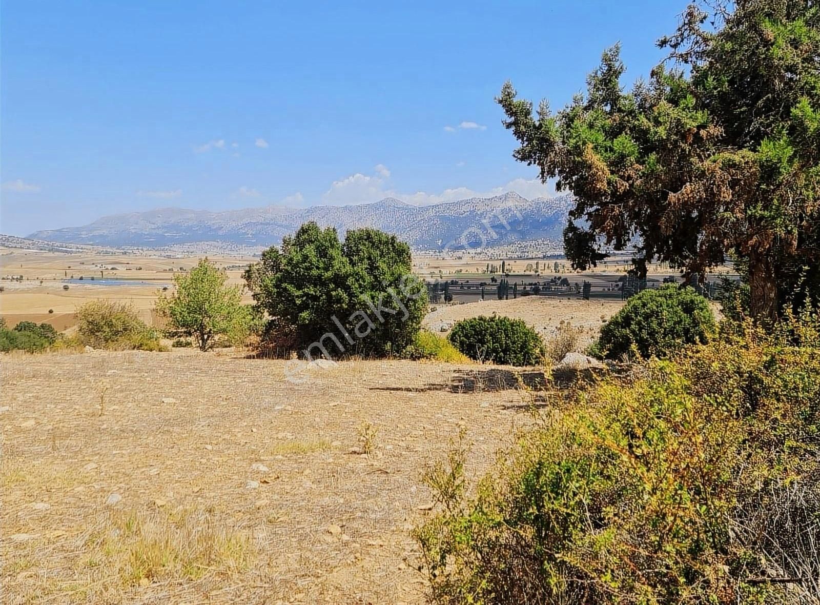 Yayla Zorlar Mh.36400 M2 Satılık Tarla - Görsel 13