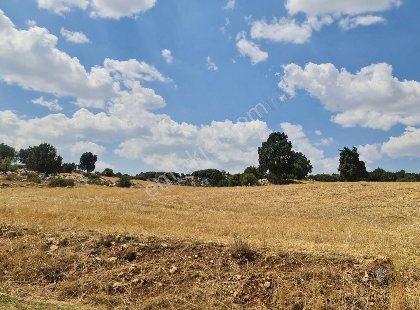 Yayla Zorlar Mh.36400 M2 Satılık Tarla - Görsel 24