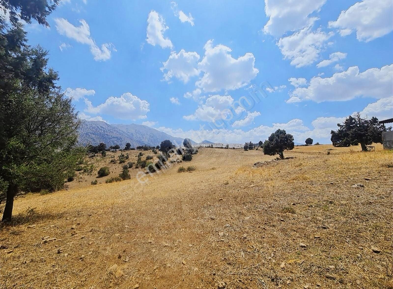 Yayla Zorlar Mh.36400 M2 Satılık Tarla - Görsel 14