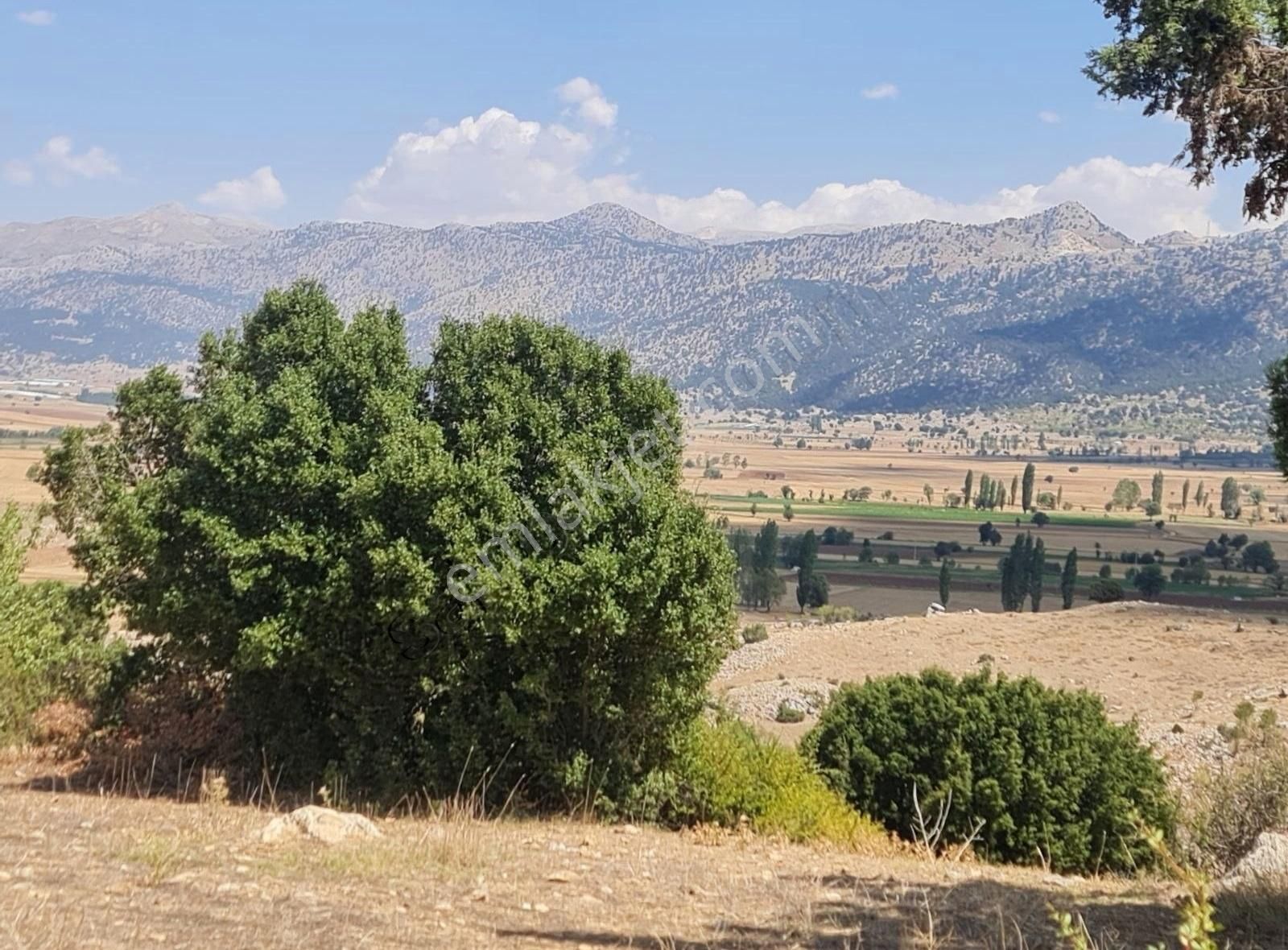 Yayla Zorlar Mh.36400 M2 Satılık Tarla - Görsel 6