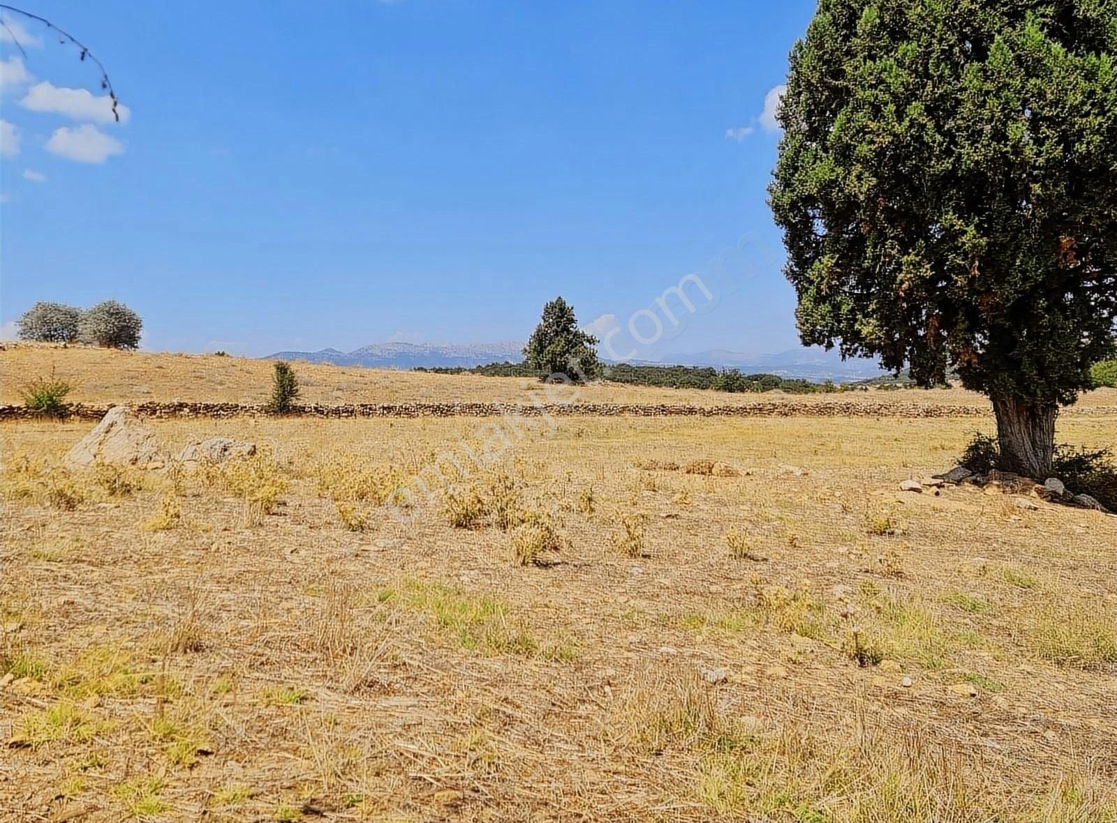 Yayla Zorlar Mh.36400 M2 Satılık Tarla - Görsel 17