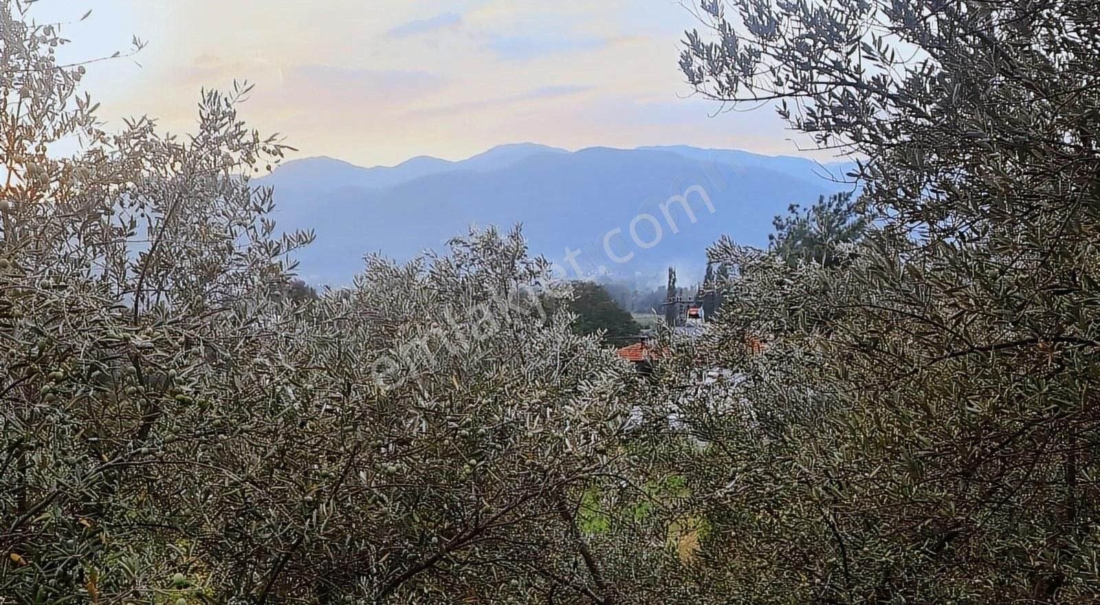 Sahil Ceylanda 900 M2 Satılık Tarla. - Görsel 10