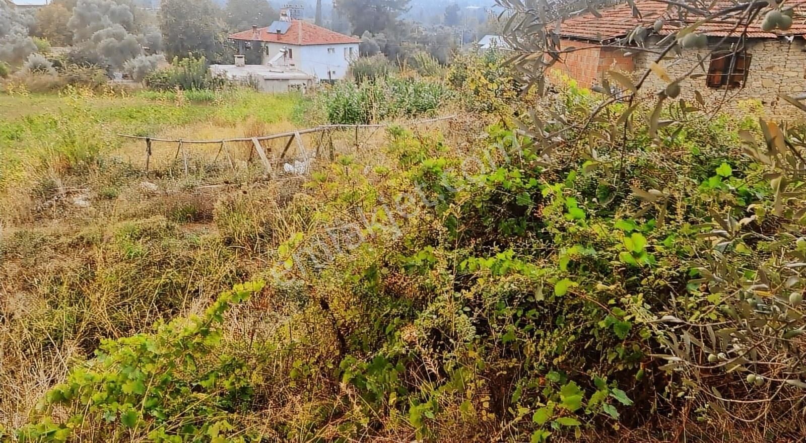 Sahil Ceylanda 900 M2 Satılık Tarla. - Görsel 7