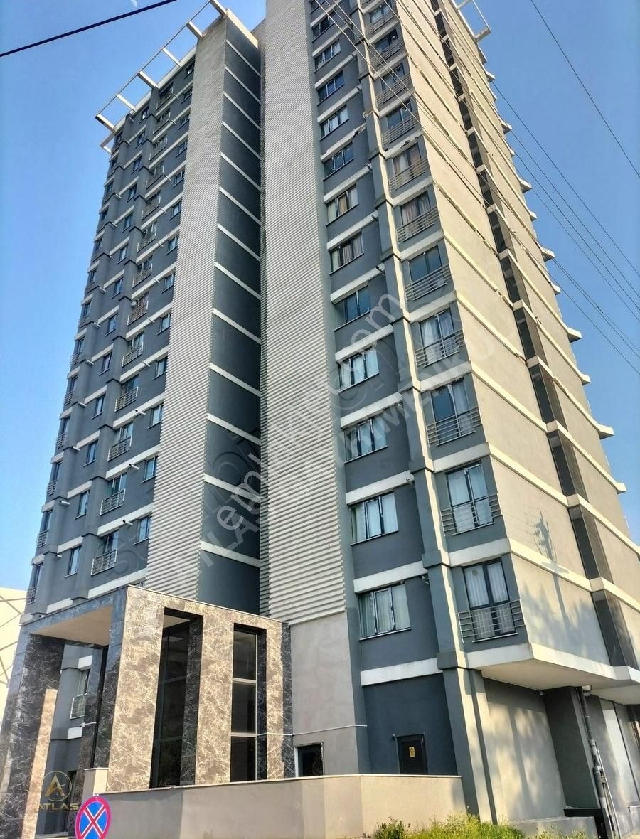Düzce Konuralp Full Eşyalı Ferah Kiralık 1+1 Daire
