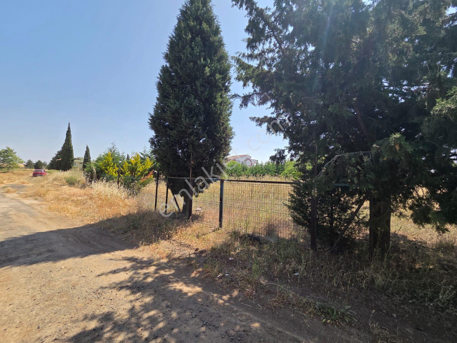 Haydar Emlaktan Yenicede445 M2 Müstakil Tel Çevrili Arsa - Görsel 6