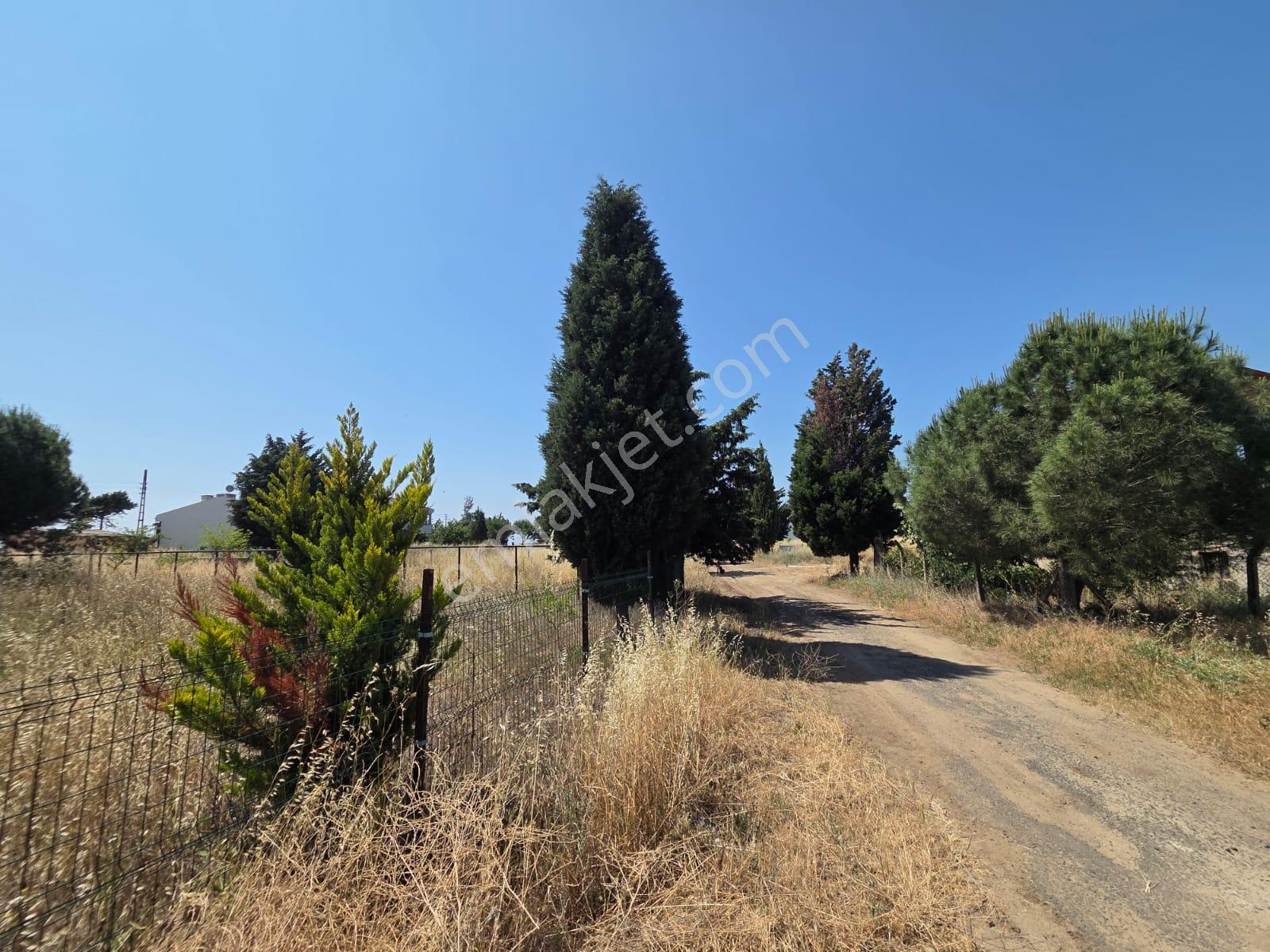 Haydar Emlaktan Yenicede445 M2 Müstakil Tel Çevrili Arsa - Görsel 4