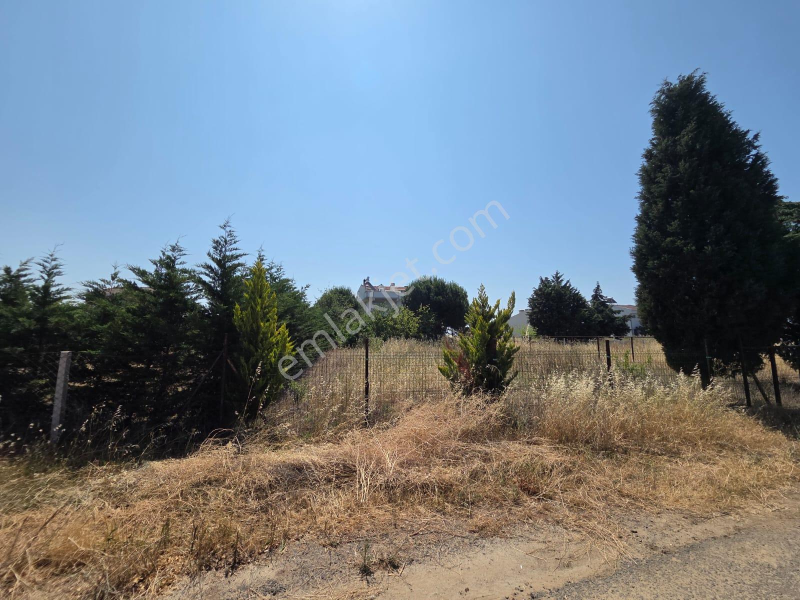Haydar Emlaktan Yenicede445 M2 Müstakil Tel Çevrili Arsa - Görsel 2
