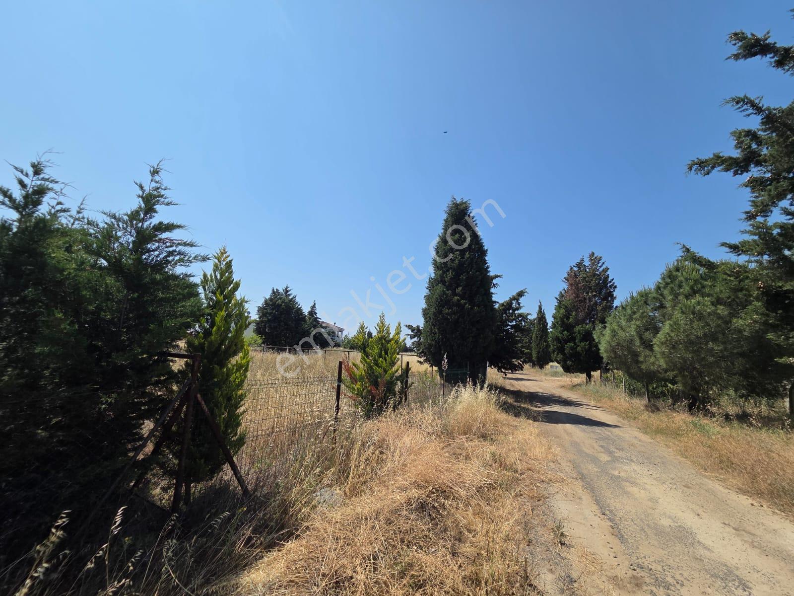 Haydar Emlaktan Yenicede445 M2 Müstakil Tel Çevrili Arsa - Görsel 7