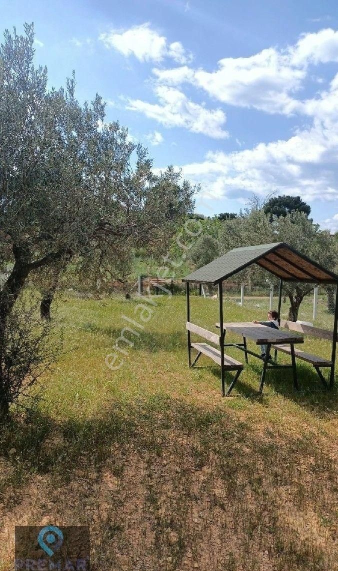 Premar Ayvada'dan Burhaniye Pelitköy'de 370 M2 Arsa