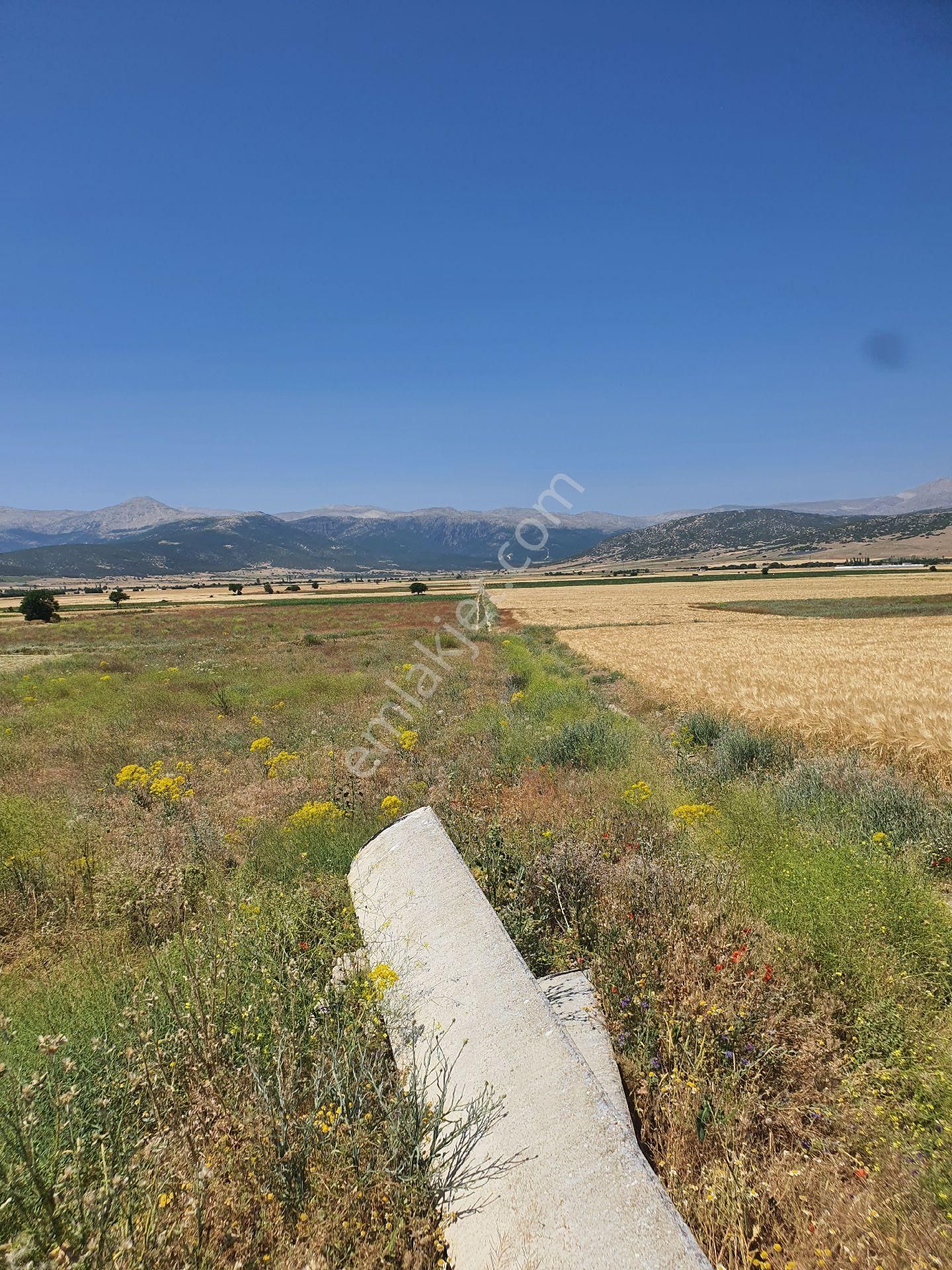 Sera Arazisi İsparta Atabey Onaç