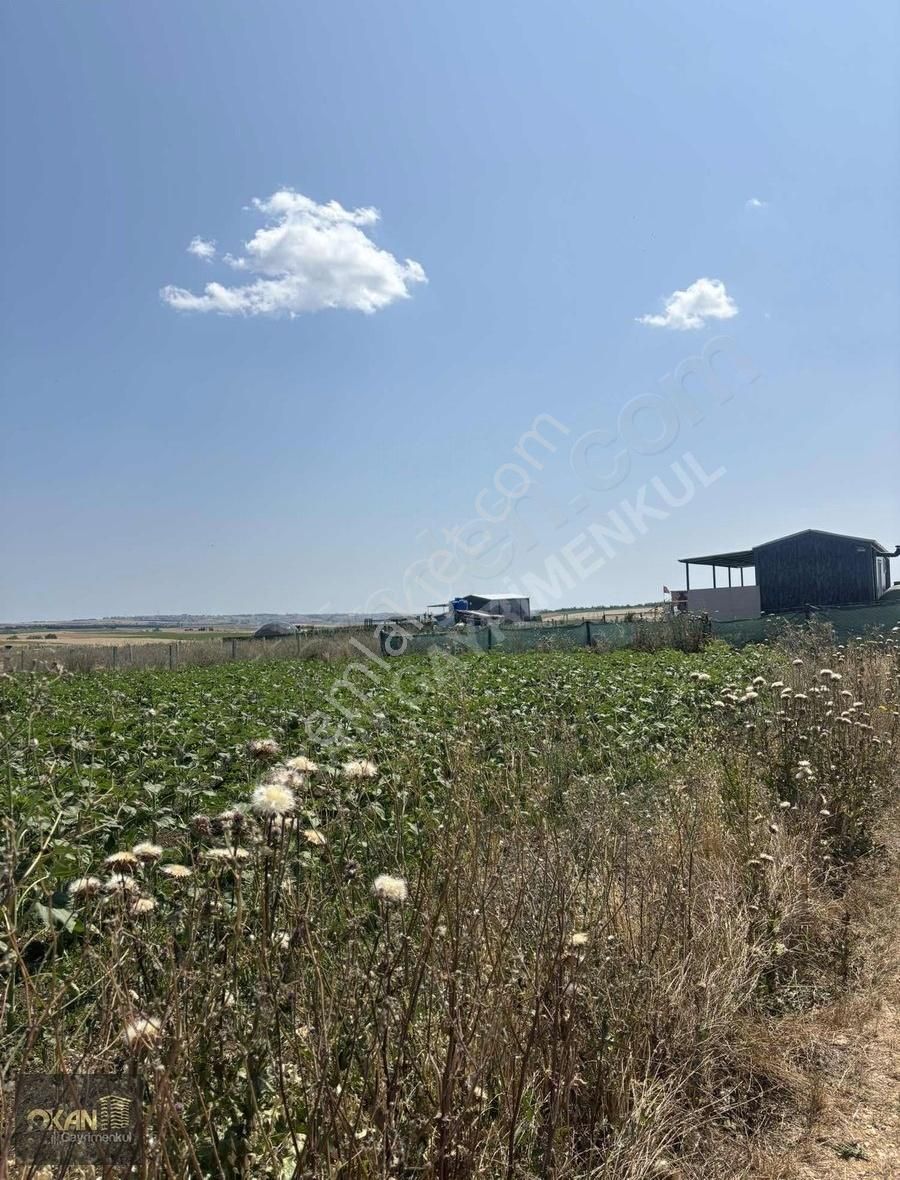 Gazitepe'de Kuzey Marmaraya Cephe Satılık Arsa