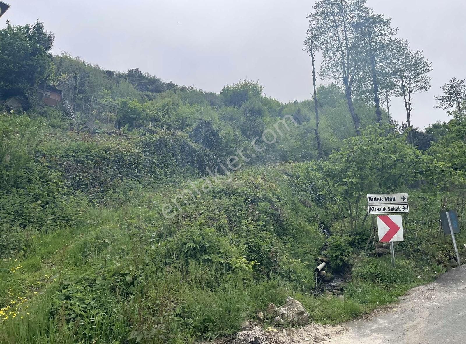 Poyraz Gayrimenkul Trabzon Bulakta Satılık Arsa
