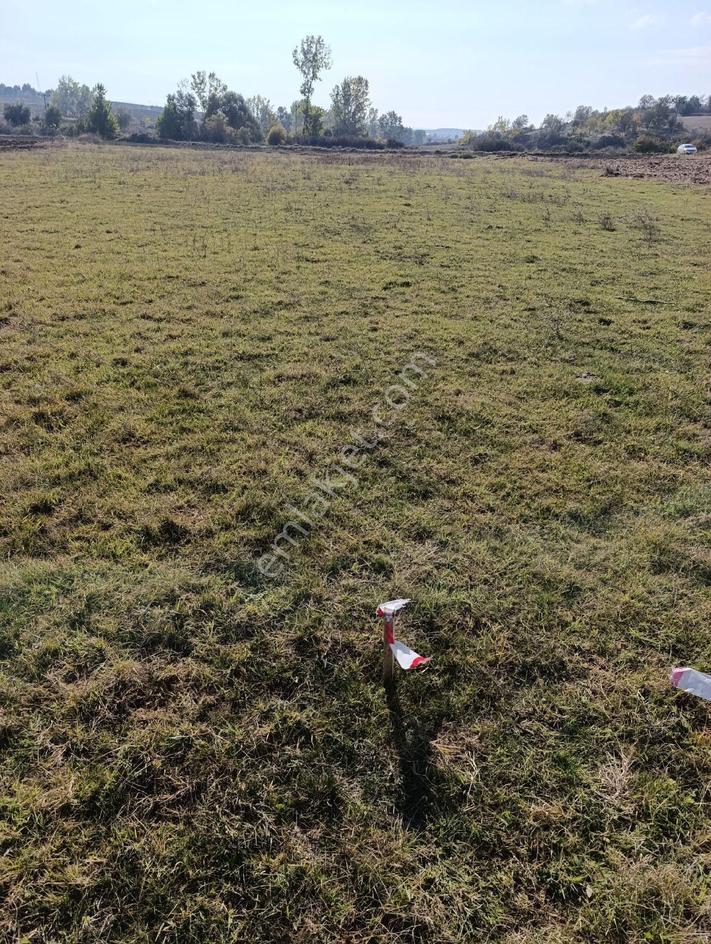Tekirdağ Malkara Satılık Arazi