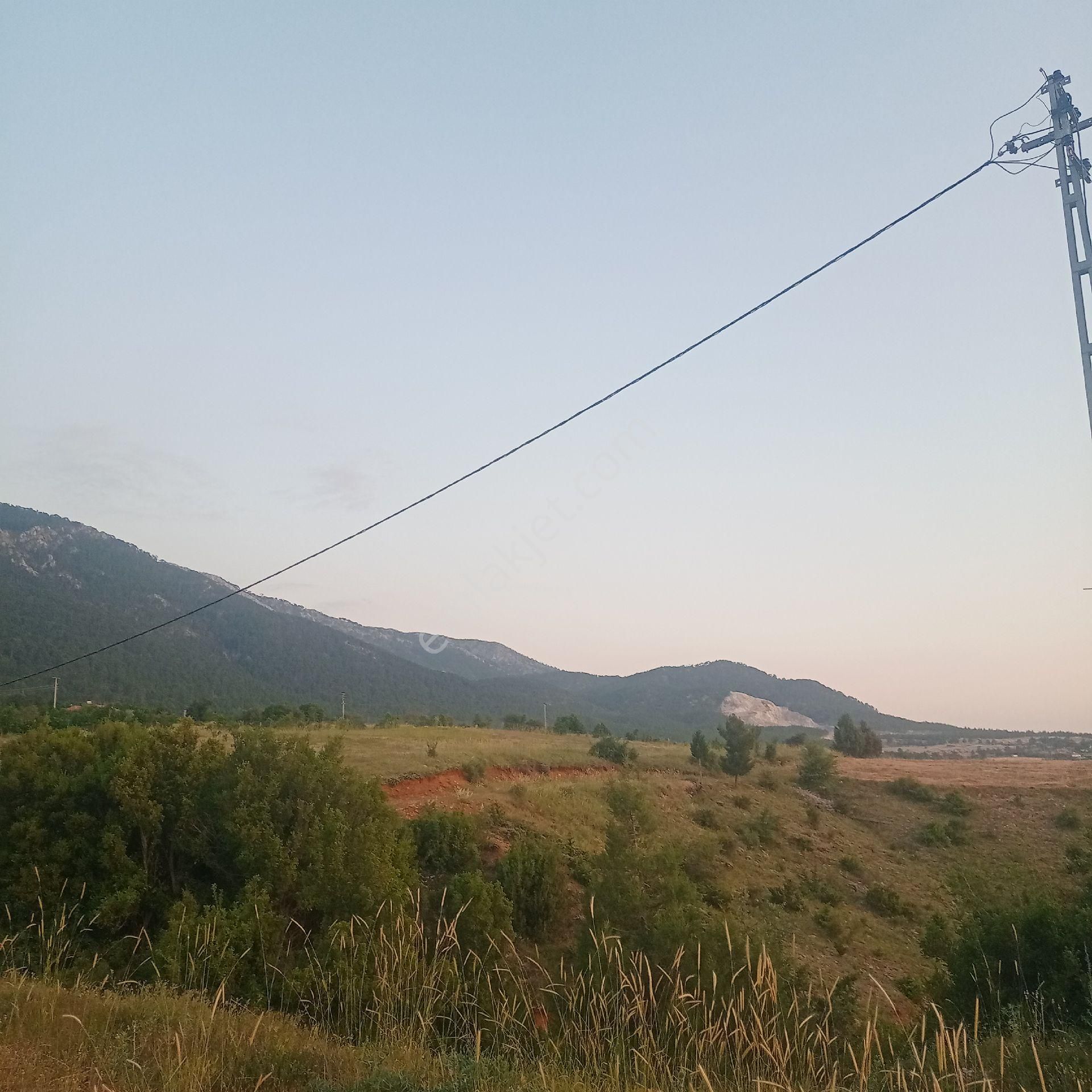 Denizli Çameli Cevizli Satılık Tarla - Görsel 5