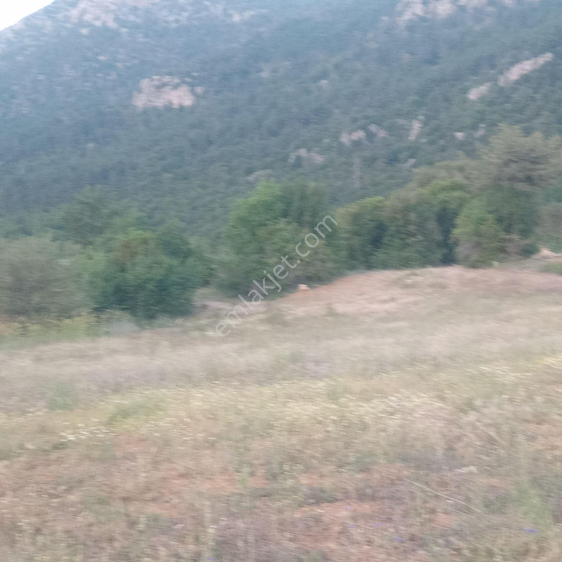 Denizli Çameli Cevizli Satılık Tarla