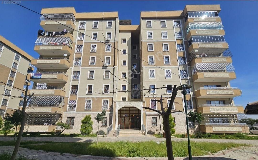 3+1 K.m Havutlu Tokinin En Gözde Dairesi