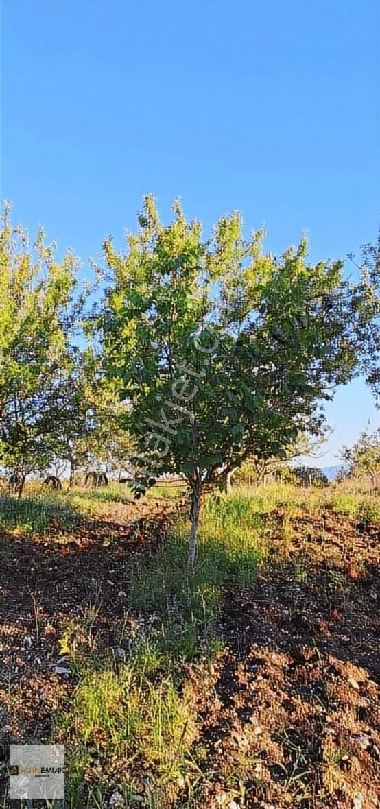 Balıkesir-savaştepe Yolu Yanında, Savaştepe'ye 5 Dk Mesafede
