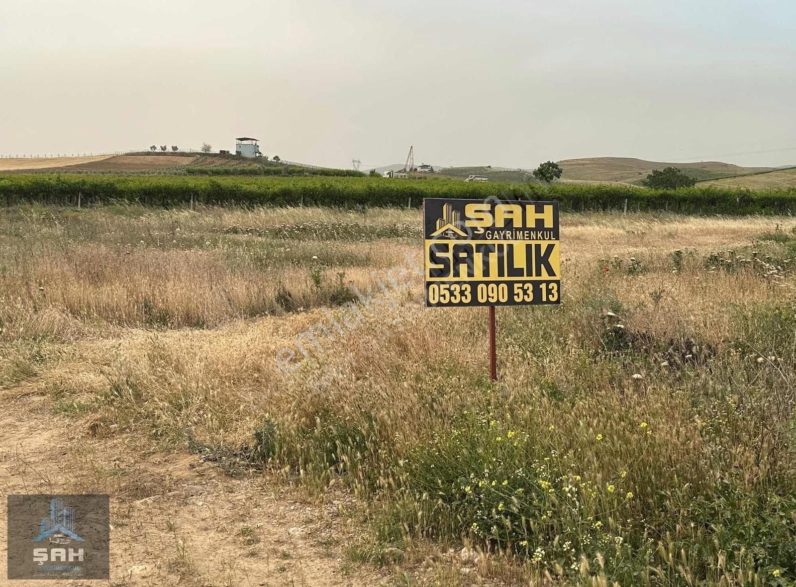 Satılık Tektapulu Mahalle Yanında Erkenci Üzüm Ve Zeytinlik Yeri