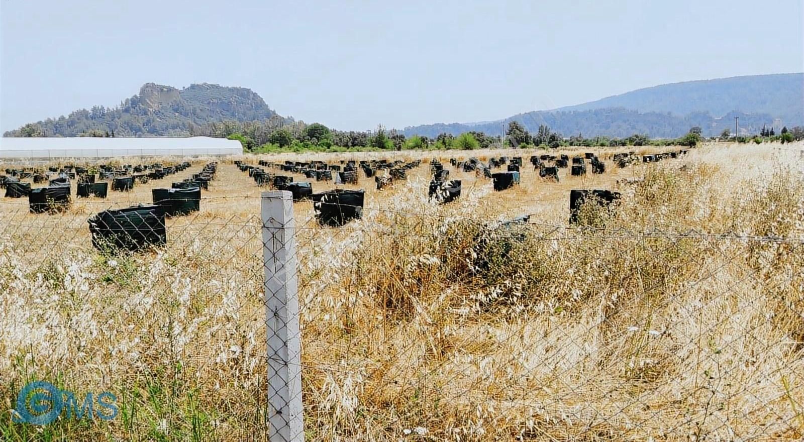Antalya Aksu Karaöz Merkez Satılık 10.800 M2 Tarla