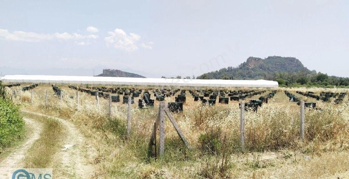 Antalya Aksu Karaöz Merkez Satılık 10.800 M2 Tarla - Görsel 4