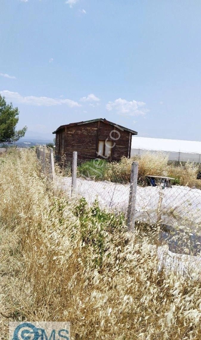 Antalya Aksu Karaöz Merkez Satılık 10.800 M2 Tarla - Görsel 5