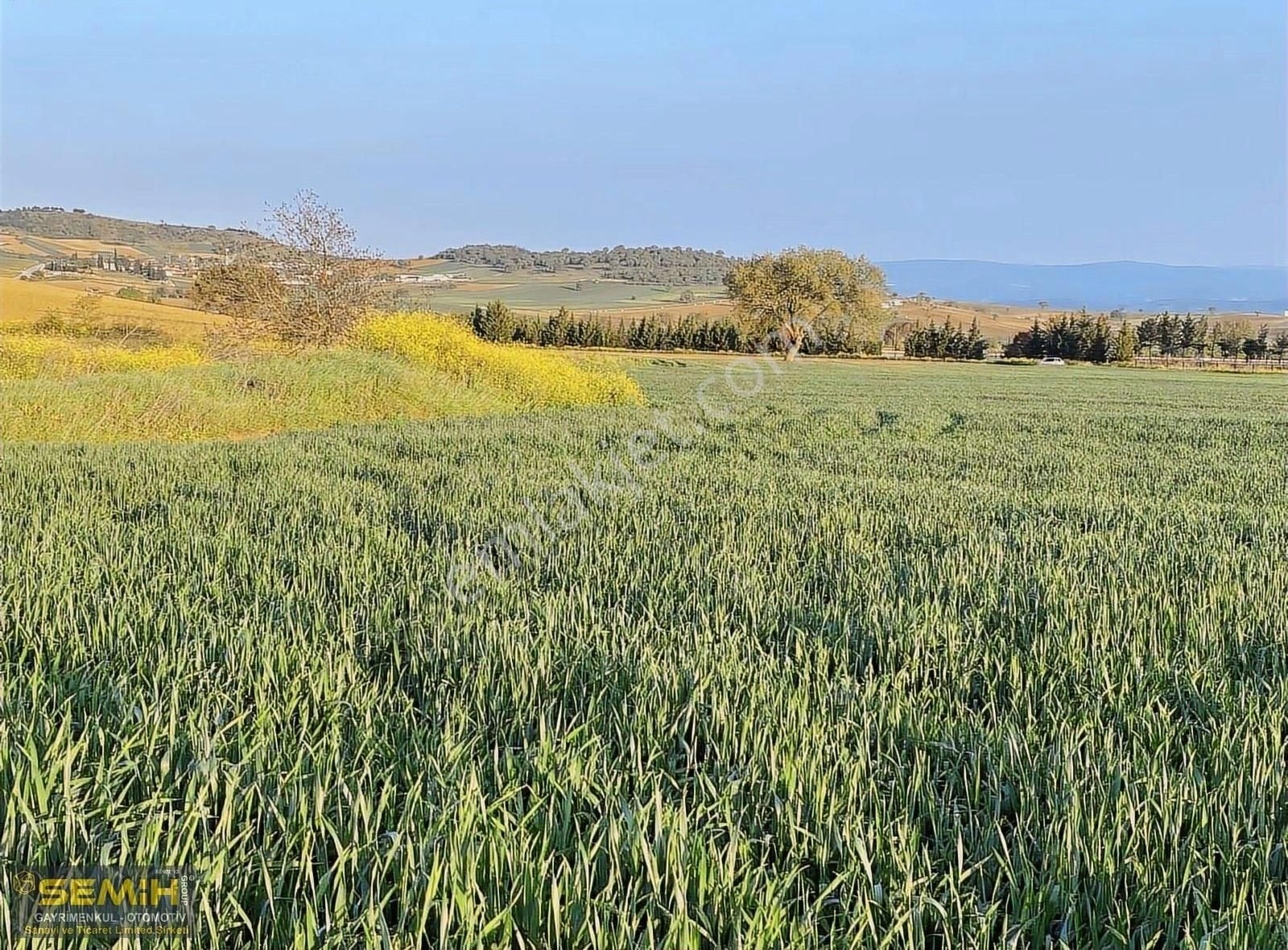 Semih'den İlk Konut İmarı Açılacak Bölgeye 1 Km Fırsat Emsalsiz - Görsel 30